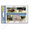 Sticker-autocollantVN-Autreche-104026-01