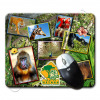TAPIS-SOURIS-BP-PARC-REYNOU-140612-01