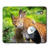 TAPIS-SOURIS-CC-GROTTES-HAN-126184-01