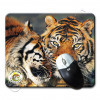 TAPIS-SOURIS-CC-PARC-FELINS-104980-03