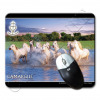 TAPIS-SOURIS-EV-CAMARGUE-GRAU-DU-ROI-121010-03