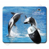 TAPIS-SOURIS-EV-MARINELAND-ANTIBES-123394-23